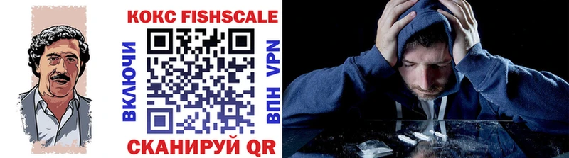 Кокаин FishScale  Лагань 