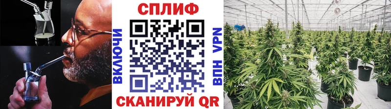 Бошки Шишки марихуана  наркота  Лагань 